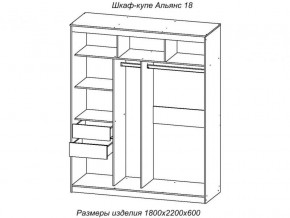 Шкаф-купе Альянс 18 комплект зеркал №4 в Югорске - yugorsk.magazinmebel.ru | фото - изображение 2